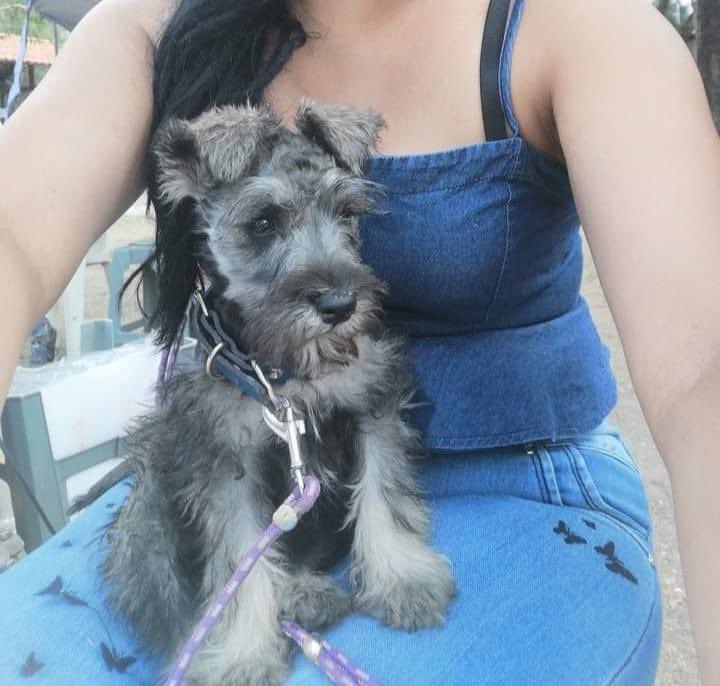 FERNANDO CRUZ PERIODISTA tweet media