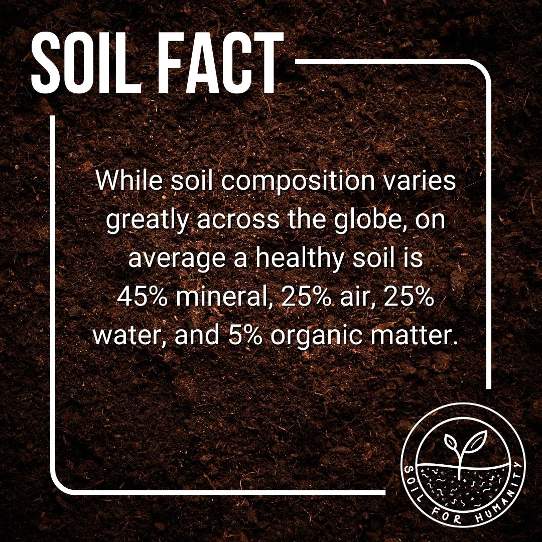 soilforhumanity's tweet photo. #DYK #SoilFact

While soil composition varies significantly across the globe, healthy soil is, on average, 
45% mineral, 25% air, 25% water, and 5% organic matter.

To read more about the characteristics of #healthysoil, check out this blog post -> https://t.co/3htVCHlMZH https://t.co/RSsauFQvfl