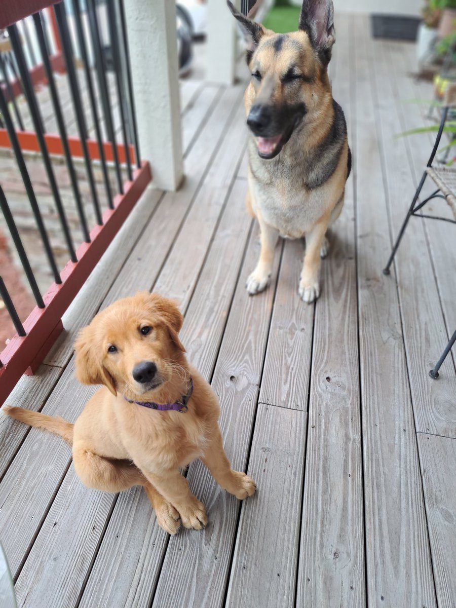 Bacon4EverEver tweet media