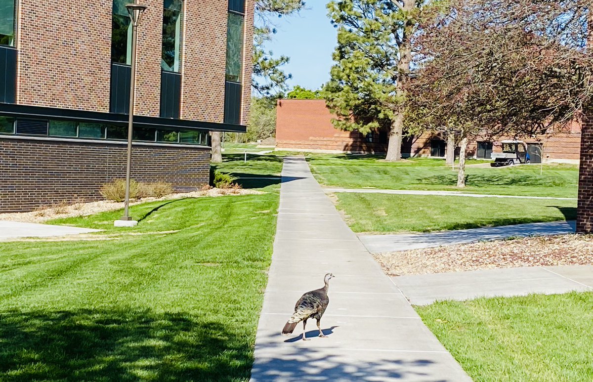 Tyler Ellyson tweet media