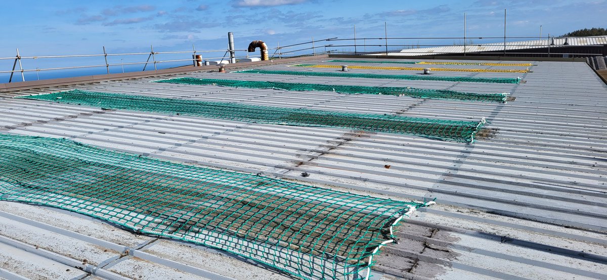 AltoRoofing's tweet photo. Fragile rooflights have been made safe with over netting and the roof is now ready for installation of our insulated overcladding system. #industrialroofing #northdevon #energyefficiency #roofing https://t.co/RCw9sghdfY