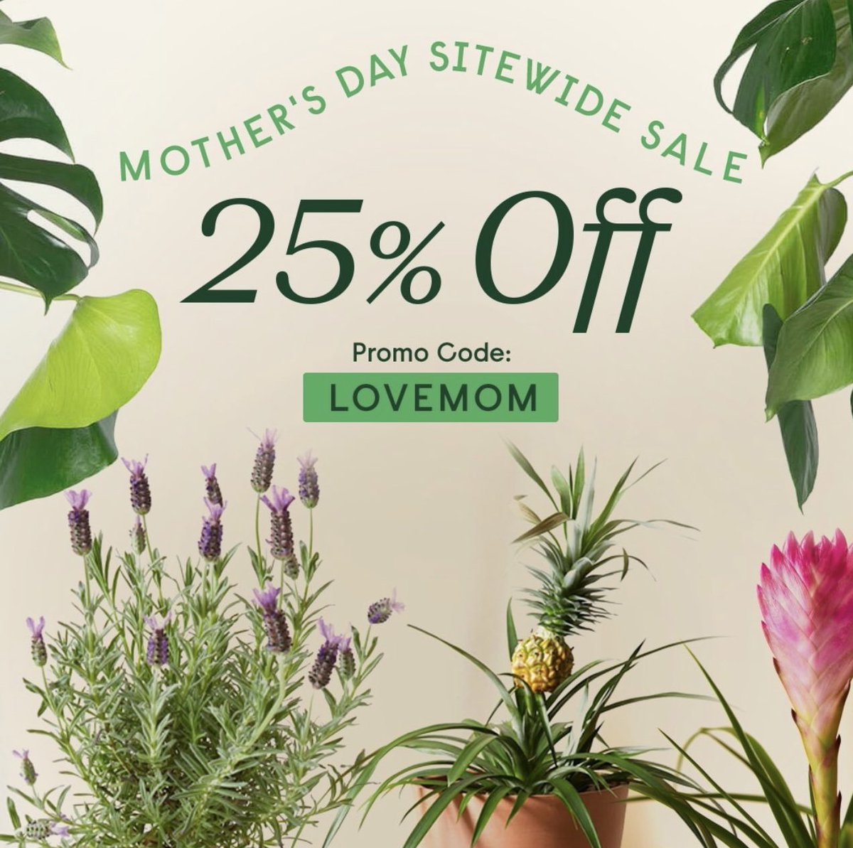 PSA: moms want plants that keep growing this year 🥰🌿

Shop our sale: bloomscape.com