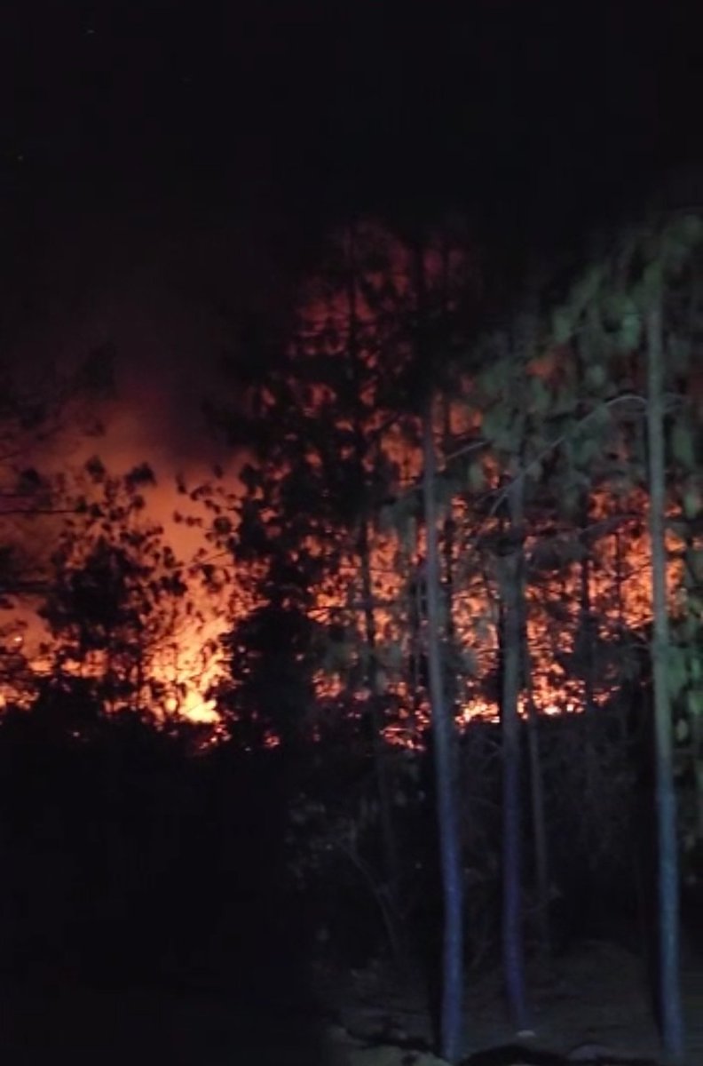 NadiaMadrigal's tweet photo. #Jalisco en el top ten de incendios y áreas siniestradas sin contar Tapalpa, Chiquilistlán y Atemajac de Brizuela será que preparan terrenos para inmobiliarias, siembra de aguacates, berries y agave? https://t.co/4JspV4X25d