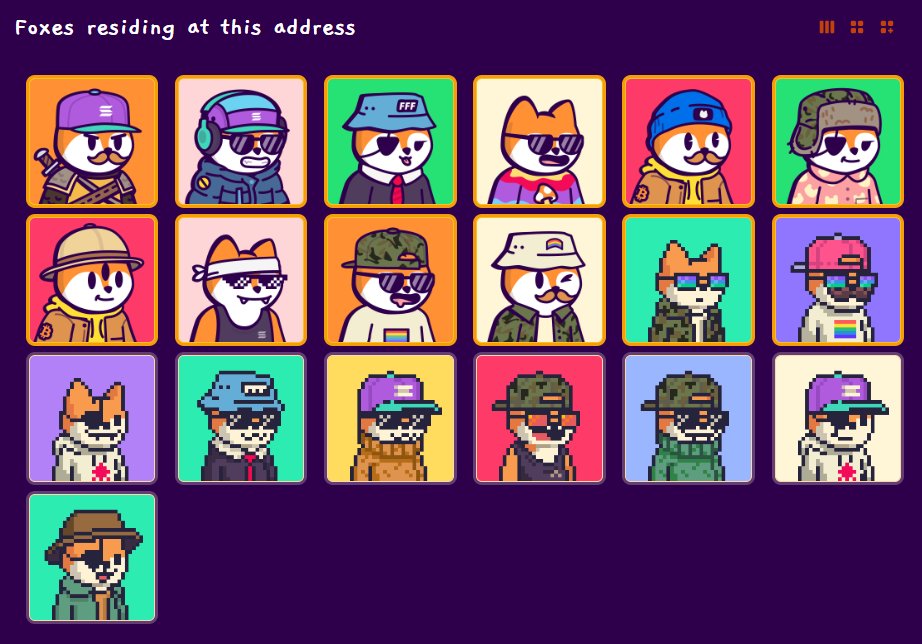 ThesisInvestor's tweet image. There's a lot of awesome Solana NFTs at this point. But @FamousFoxFed is still the only project I'm interested in accumulating. I want to share a few key reasons why I've come to this conclusion in a brief🧵...