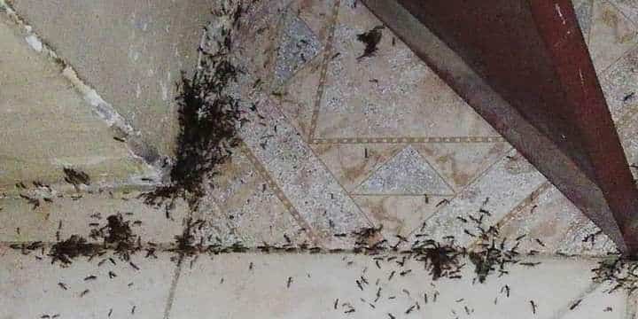 مختص في فك السحر المرشوش والاثر والمشروب والمأكول والارسال وسحر الطلاسم  للتواصل 00962790624804