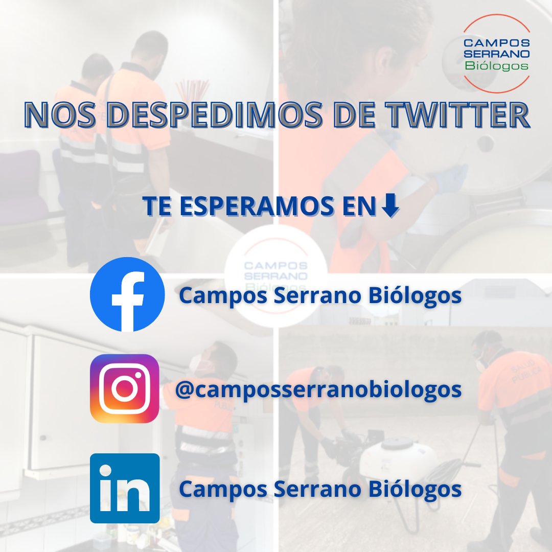 Decimos adiós a nuestro perfil de Twitter. Ha sido un placer estar en esta red social desde hace más de diez años, con todos vosotros 🙌

Recordad que podéis seguirnos en nuestros perfiles de Facebook, Instagram y LinkedIn. ¡Os esperamos! 🥰👌

#CamposSerranoBiologos