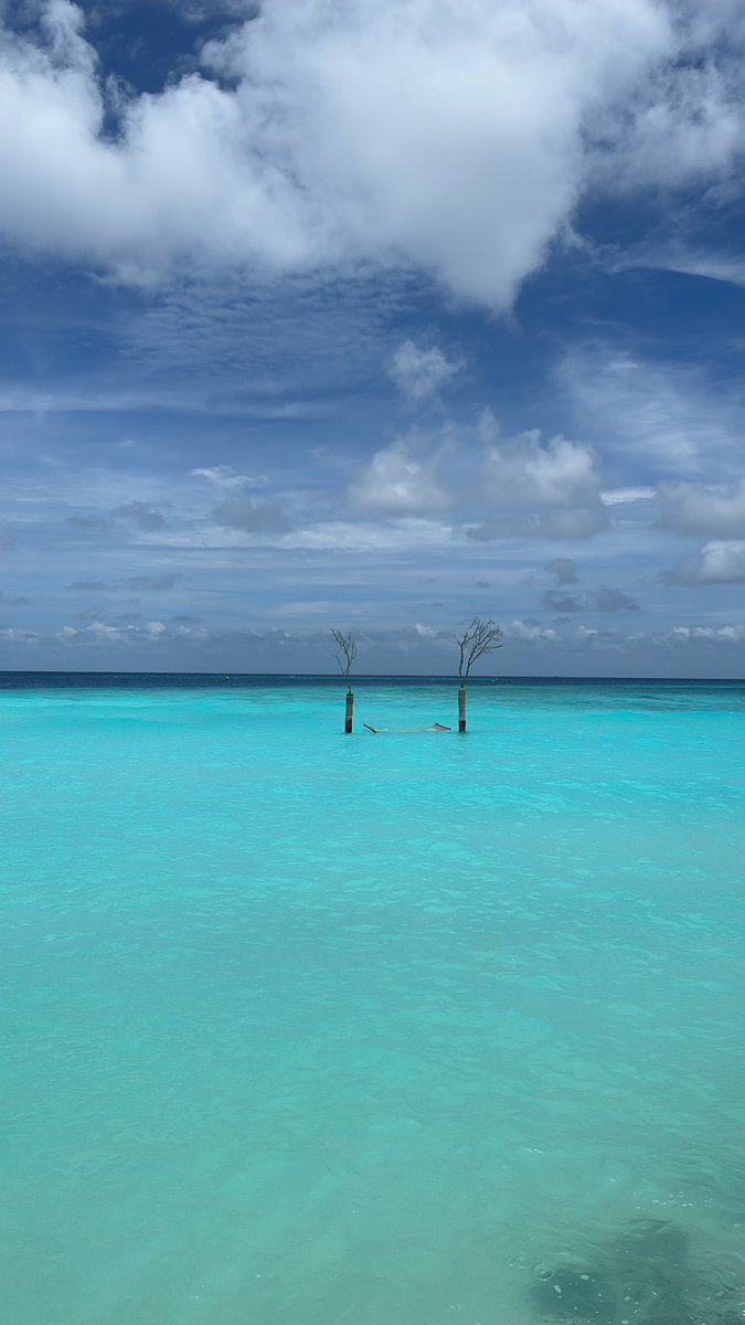 AlsultanEsraa's tweet photo. Paradise. https://t.co/y8aVGa0msg