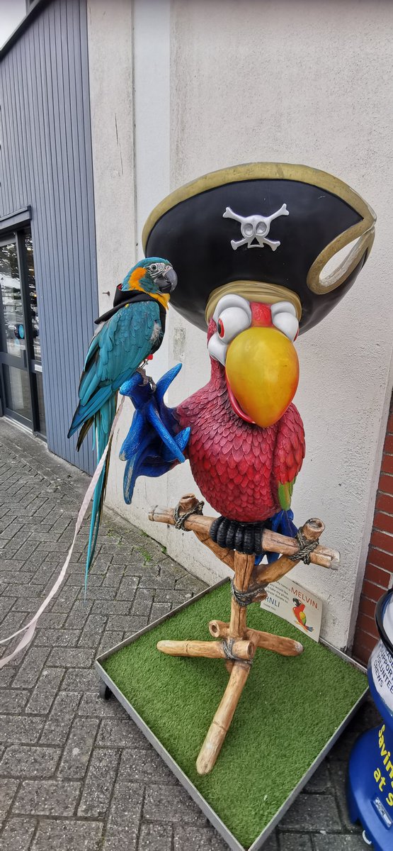 ParrotsnPirates's tweet photo. Penzance https://t.co/1n05alVtE8