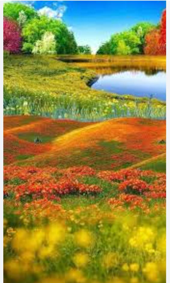 زهرة اللوتسAllotus flower tweet media