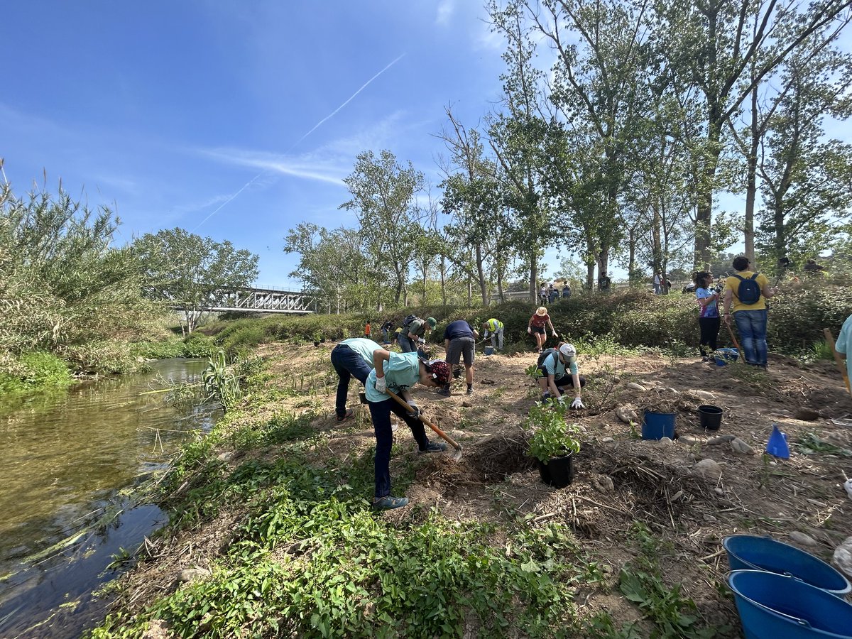 auroracet's tweet image. 🌳 La Plantada Popular de #Perafort i #Puigdelfí al riu #Francolí de dissabte va ser tot un èxit! 160 persones van participar a la jornada de voluntariat co-organitzada amb l'Ajuntament del municipi i amb el suport de la @Dipta_cat.

#AssociacióAurora #DiptaSuma #NaturaésSalut