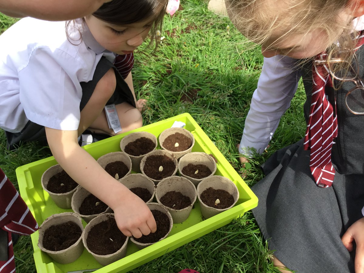 FS2StLukesFrod's tweet photo. We’ve had a wonderful afternoon planting up our  strawberry plants, snack cucumbers, baby carrots, pumpkins and a range of herbs and salad leaves🌱🥕 🍓 #knowledgeandunderstandingoftheworld https://t.co/CeomkWao6L