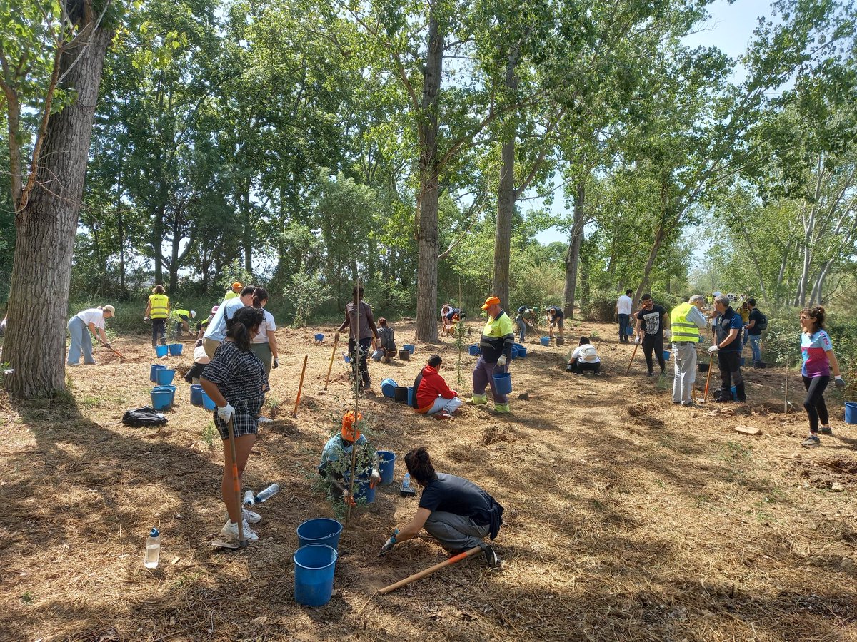 auroracet's tweet image. 🌳 La Plantada Popular de #Perafort i #Puigdelfí al riu #Francolí de dissabte va ser tot un èxit! 160 persones van participar a la jornada de voluntariat co-organitzada amb l'Ajuntament del municipi i amb el suport de la @Dipta_cat.

#AssociacióAurora #DiptaSuma #NaturaésSalut