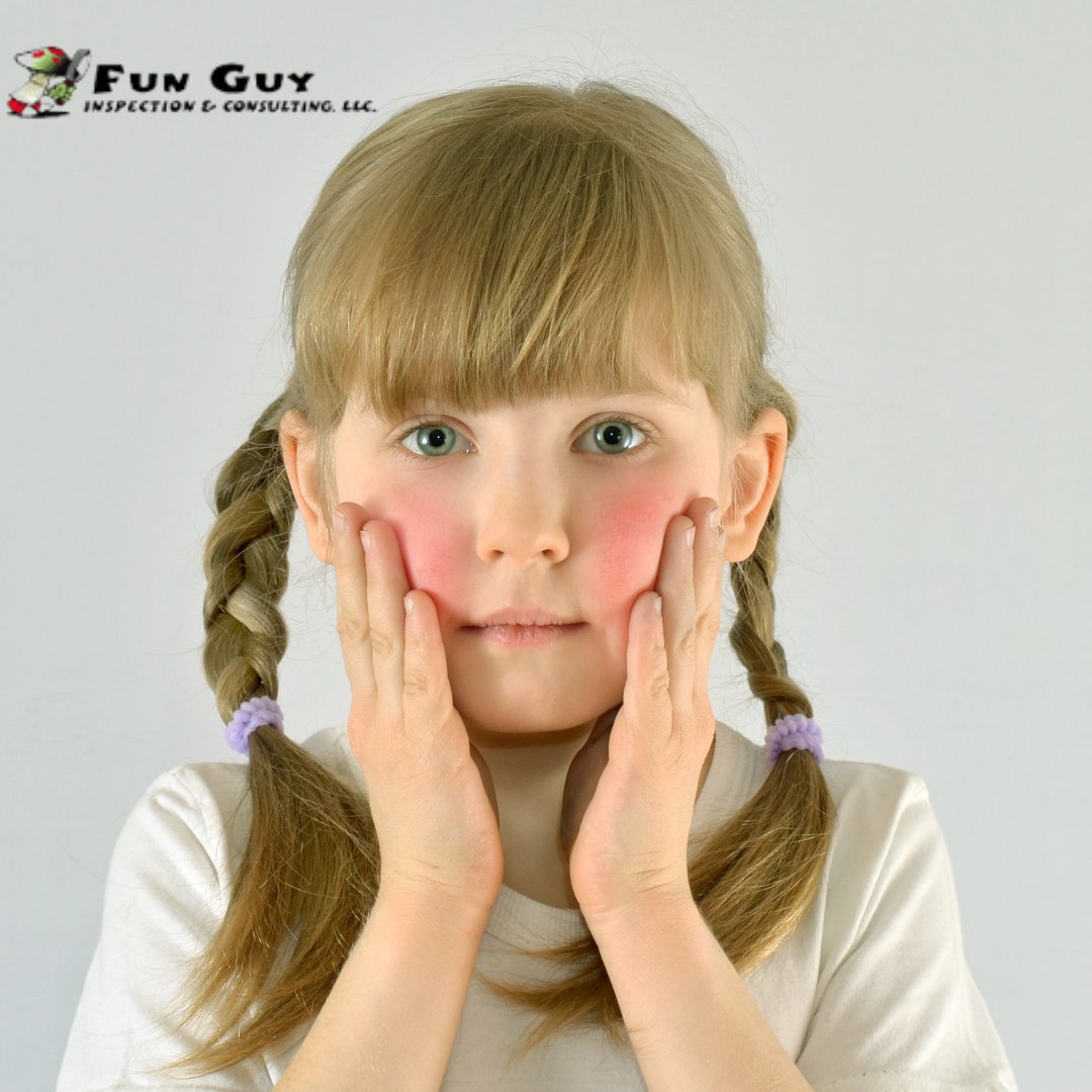 Inspect4molD's tweet photo. Scary Fact: Mold can cause health problems such as respiratory issues, headaches, and skin irritation. That's why it's important to inspect your property for mold growth.
#FunGuyInspections #LosAngelesInspection #moldservices #MoldExpert #MoldTrivia https://t.co/n3kaBjaeCq