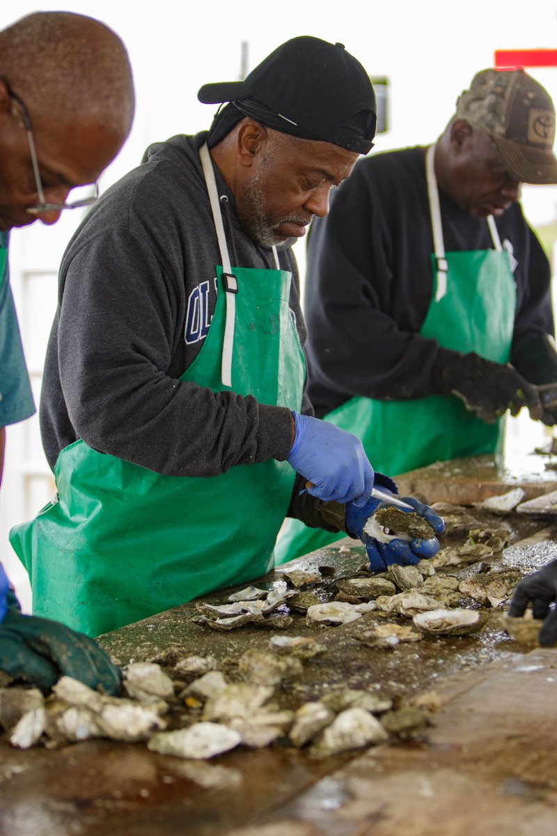 vbedfound's tweet photo. Can you believe it's been over a month since our Pearls of Wisdom Oyster Roast?! 🦪 It was a blast and we had to share some more photos from the day. 📷
Looking for more ways to get involved with VBEF? 📚Check out our website: https://t.co/lwNGfpH9e4
#vbschools #vbef #vbevents https://t.co/3wepAEJ5o6