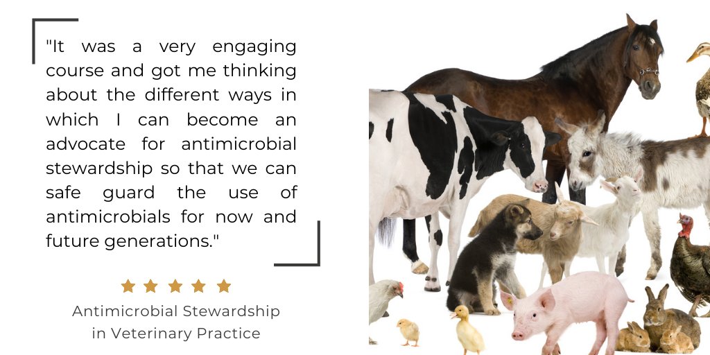 BSACandJAC's tweet photo. #VetMed plays an important role in effective #AMS. Our #VetAMS course can help #vets, and vet nurses and pharmacists learn how to introduce #ASPs into their practice whilst earning six #CPD points🎓 Join over 5,000 learners today via the link below 👇 https://t.co/xBBricFXEb https://t.co/syDEsHwy1D