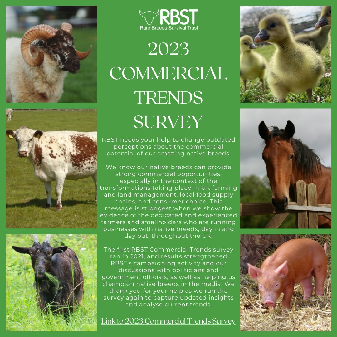 RBSTrarebreeds's tweet photo. If you aren't one of our members, we would still love to hear from you....

Please follow this link to complete the quick survey https://t.co/Lb3WYkRF3e https://t.co/yTURArtUDw