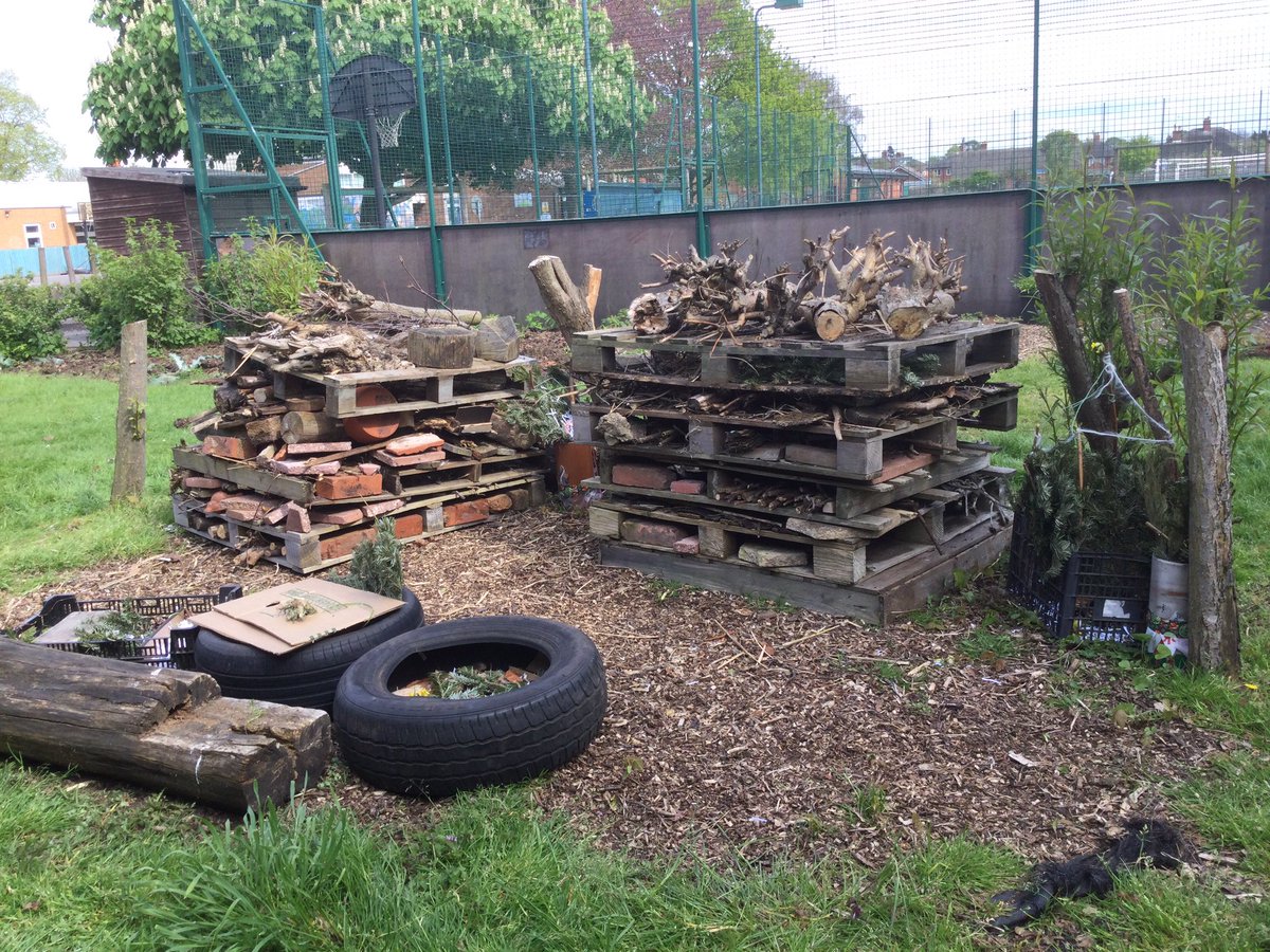 HTAClassSmith's tweet photo. 🦟🐞🐝🐜🪱🐛🪰🕷🪲🦋🕸🪳🐌🐞🦟🐝🪱🦗🕷🪰
Years 3/4 D/D have transformed our old Willow Dome into a Bug Town.Using natural materials we have moved and revamped old bug hotels and made more homes for insects and other creatures to move into.#HTAForestschool https://t.co/BmaGRM6sug