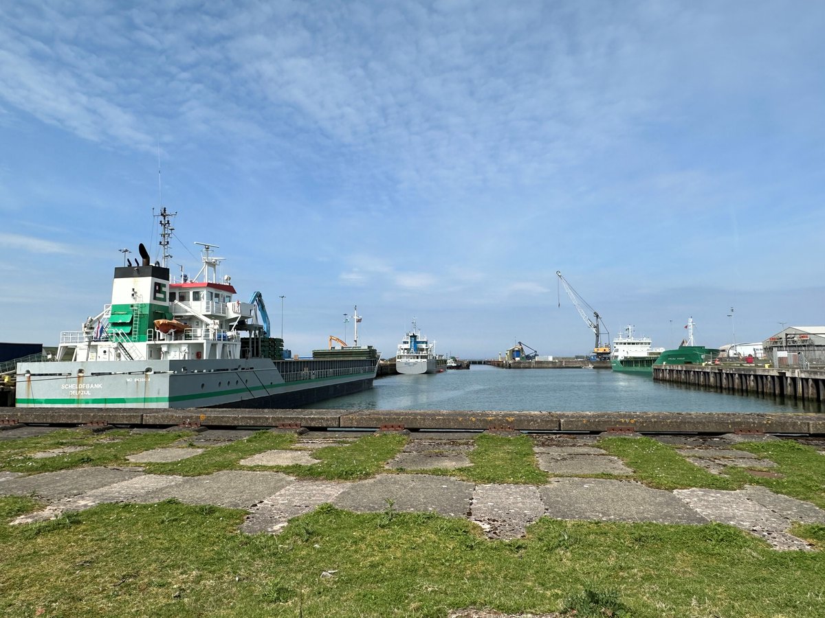 Excellent spring weather for the trio of vessels berthed in the Prince of Wales Dock today. 'Scheldebank' ex Ribadeo, 'Arklow Rogue' ex Lisbon and 'Scot Bay' ex Iggesund #cargohandling #shipping #intermodalhub