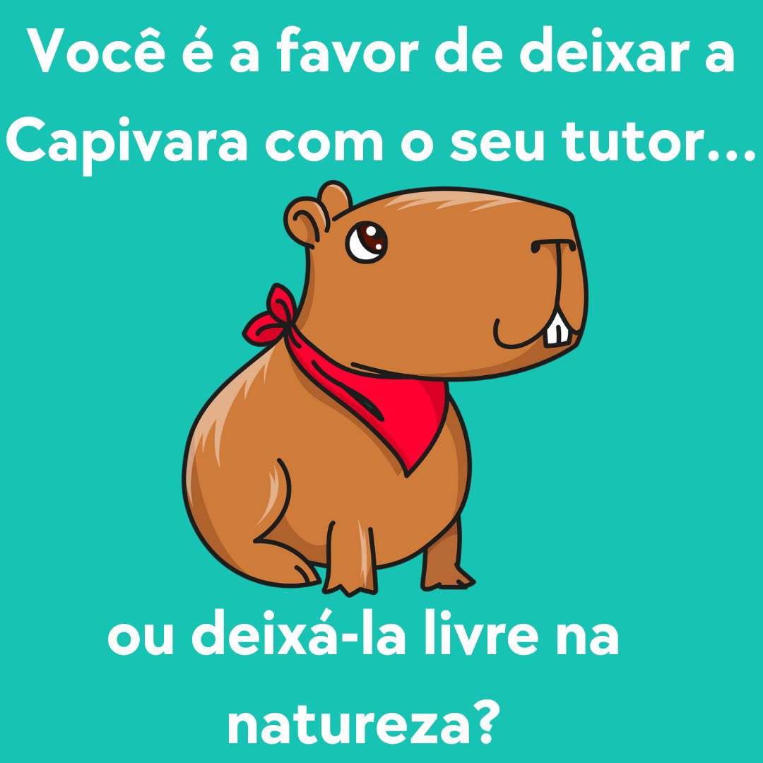 esolidar tweet media