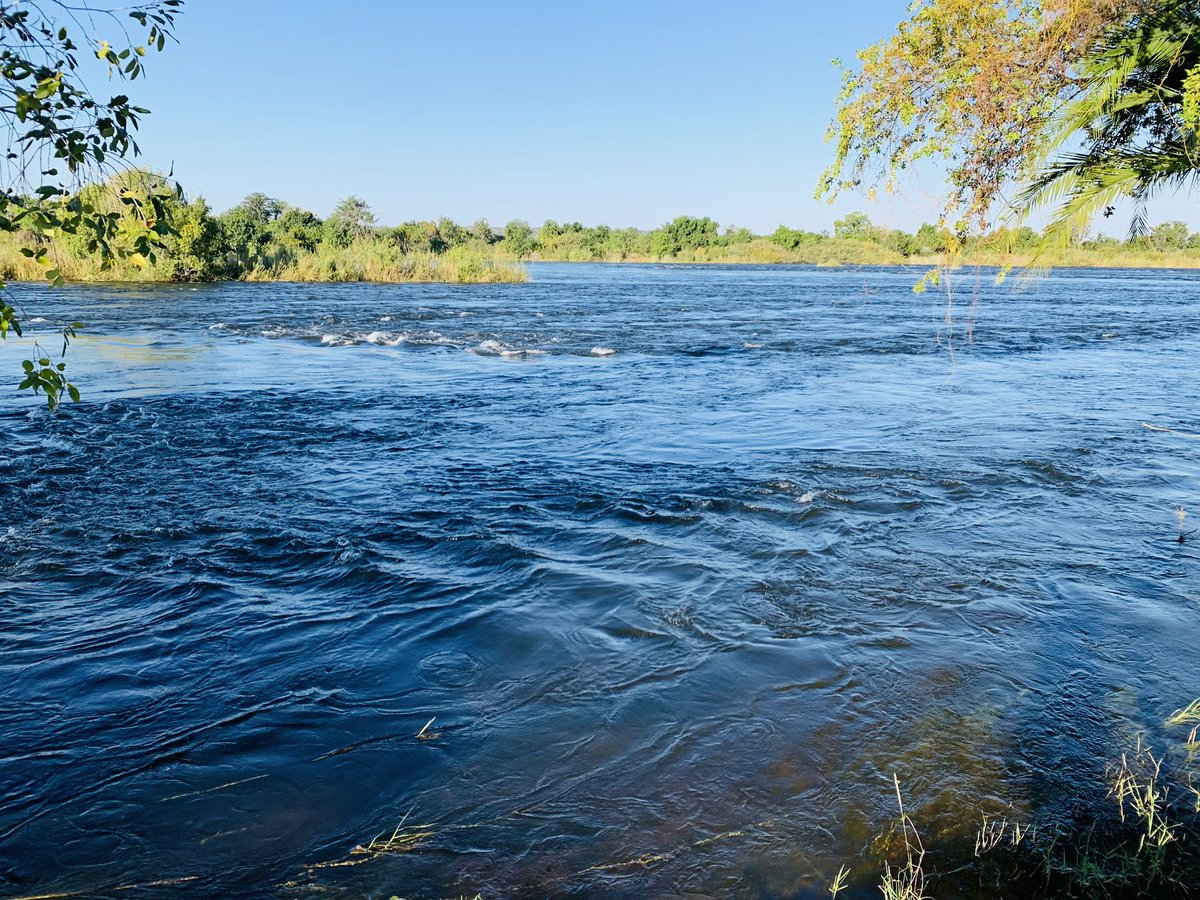 Zimparks's tweet photo. Mighty Zambezi River! https://t.co/sqeJfqUFTF