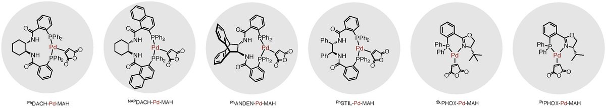 The macrocyclic chelates and backbone N-Hs of the Trost ligands make for interesting structural features, and hampered prior efforts to make discrete complexes. @Jingjun_H made it look easy using DAB-Pd-MAH, and @Tommy82752392 & @FrichardChem took the catalysis to the next level!