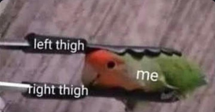 MissMarlaJane's tweet photo. Give me all your kinky memes. #Memes #kinky #kinkymemes #bdsmmemes #femdommemes #hornymemes https://t.co/rIFfNAeN4b