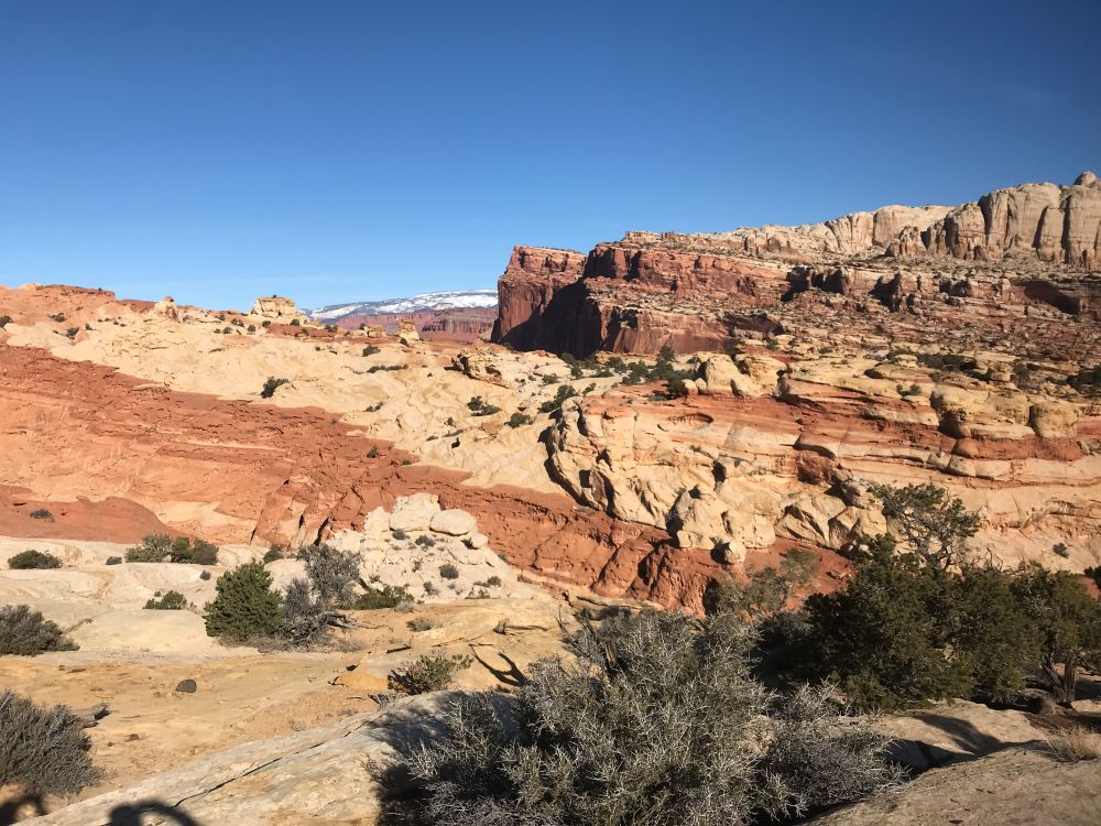 DeirdreReid's tweet photo. Association Brain Food Weekly: free educational events &amp; resources from @PeterDiamandis @Mobilize_io @ProductCommuni2 @DutyOfForesight @iMISbyASI @AWTCmeetup &amp; more https://t.co/TsWX36jHf4 #assnchat #eventprofs #associations #associationmanagement https://t.co/JNTJ3sj5k8
