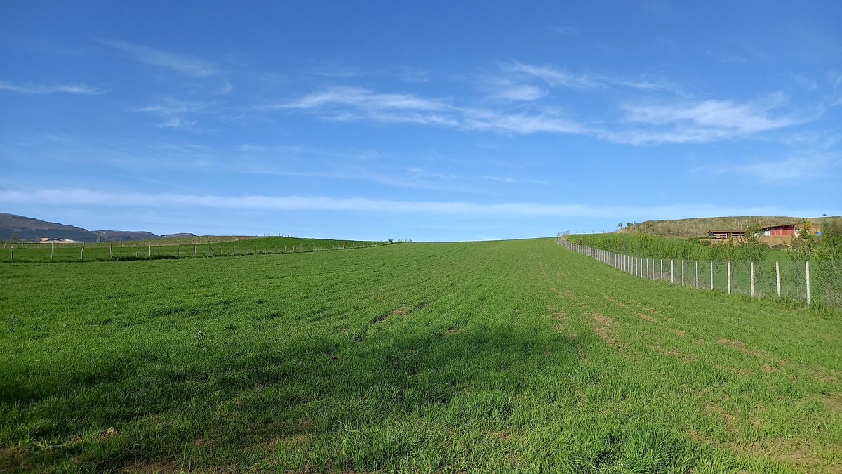 sulekaptn's tweet photo. windows xp arka planı çektim bugün https://t.co/ZYLbzHA4Vg