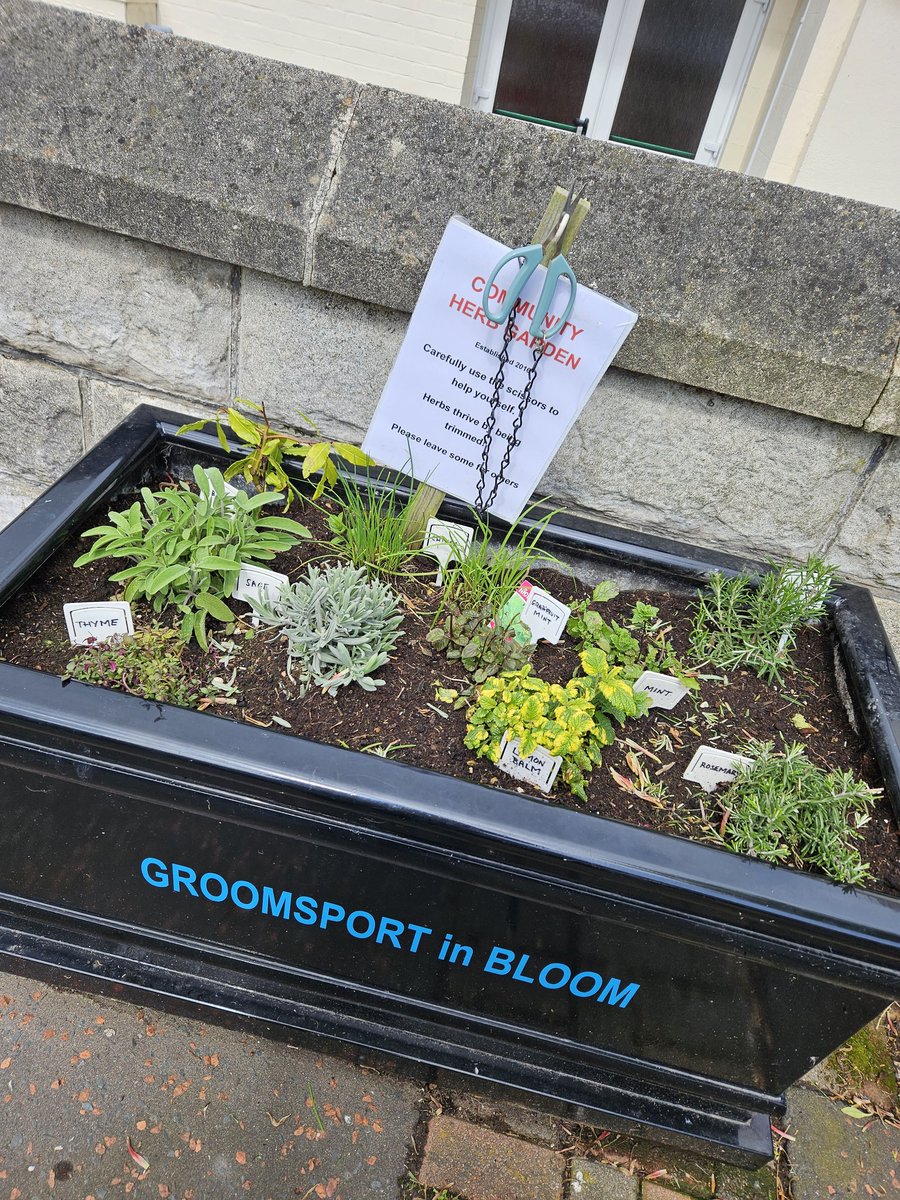 Absolutely love this idea in Groomsport 💚 
#herbs #foodni #northernireland #Community