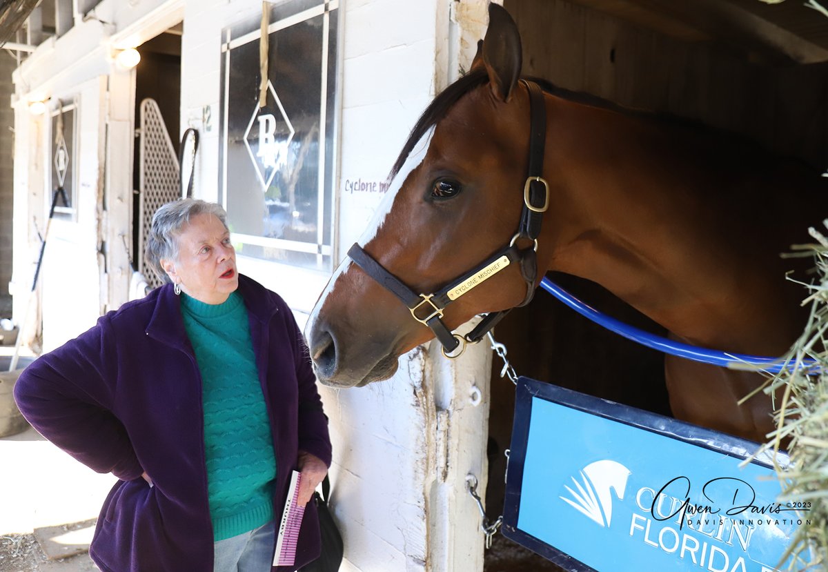 Romansracing's tweet photo. Family is everything.  Proud mom Lynn Romans has her time with Cyclone, who looks like he may be in the dog house in that last pic...  #CycloneMischief #KyDerby
📸@InnovationDavis https://t.co/RBTpL7p6Vd