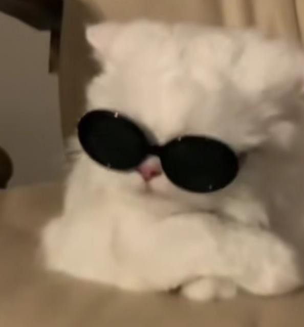 ᴋᴍ.✿ (@fallinkmm) on Twitter photo 