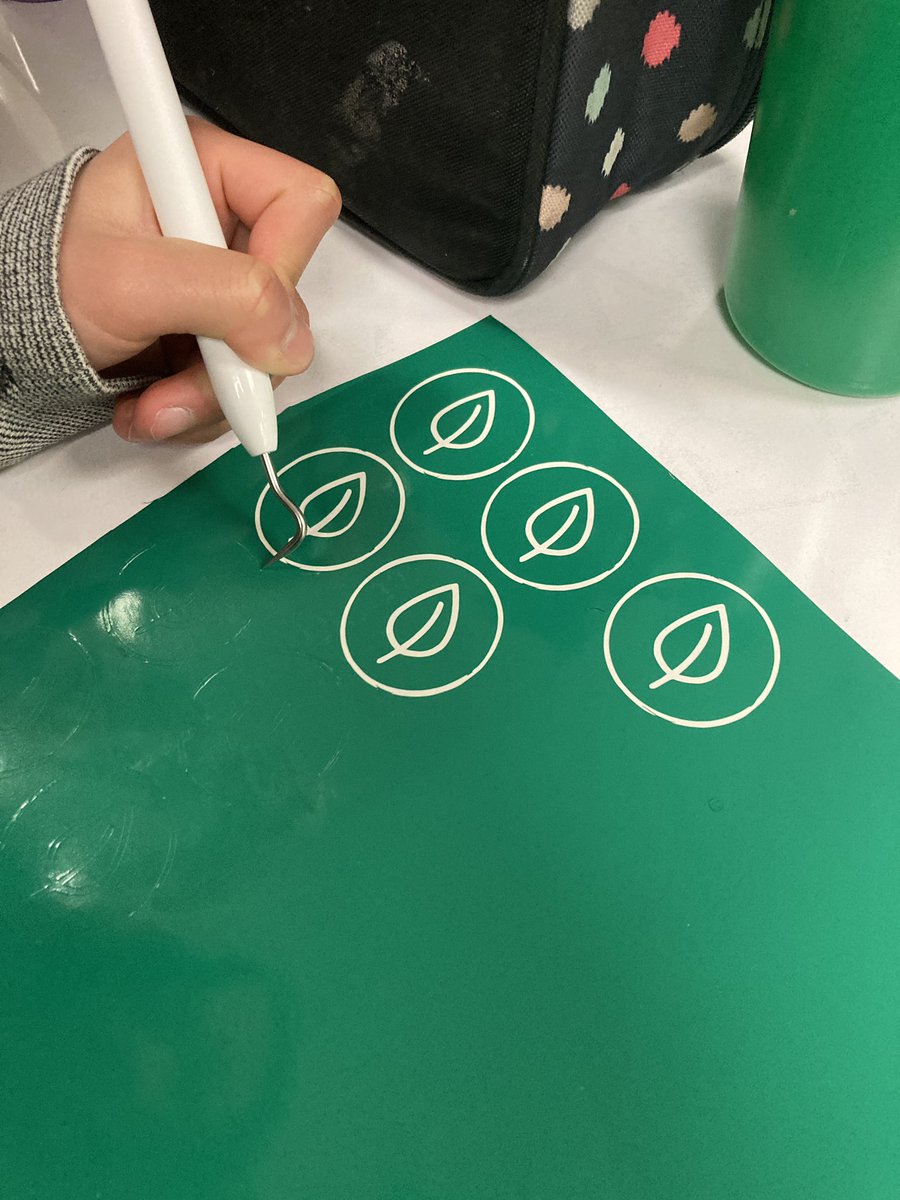 Meghan Polowin 🚀🌎🔬 tweet media