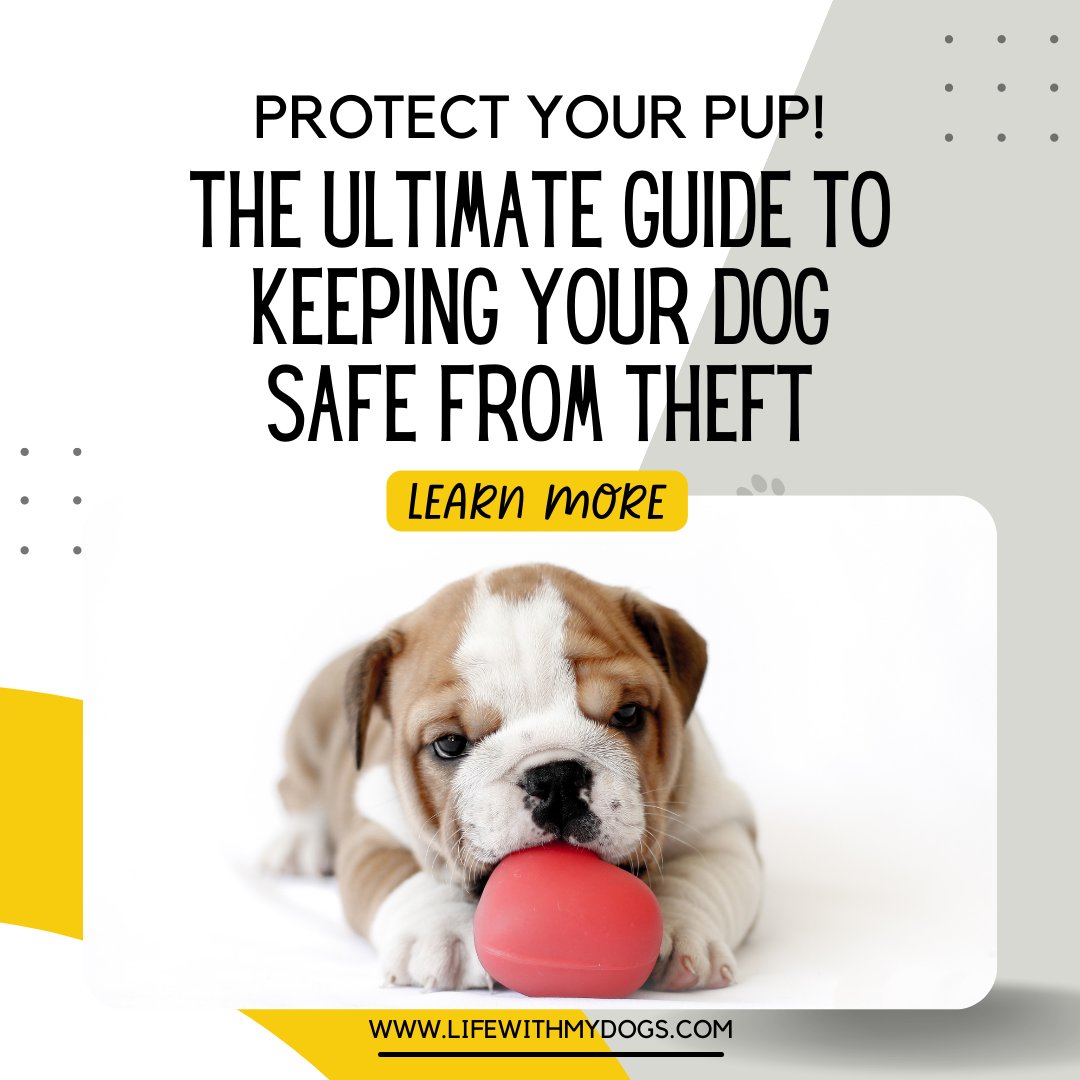 LifeWithMyDogs9's tweet photo. Attention all pup owners! Keep your furry friend safe from theft with the ultimate guide. Learn how to protect your four-legged family member like a pro.
#DogSafety
#PetSafety
#DogTheftPrevention
#ProtectYourPup
#PetTheftPrevention
#DogSecurity
#DogProtection
#DogOwnerTips https://t.co/eyurOF9fde