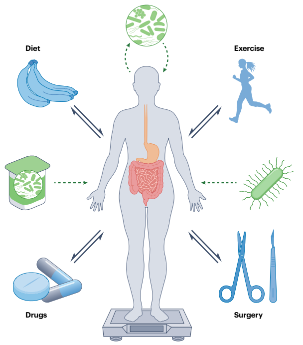 📣Roles of the gut microbiome in weight management

Carmody & Bisanz examine the role of the gut microbiome in energy metabolism, the relationship with weight management and opportunities and challenges in the development of microbiome-directed therapies targeting energy balance.