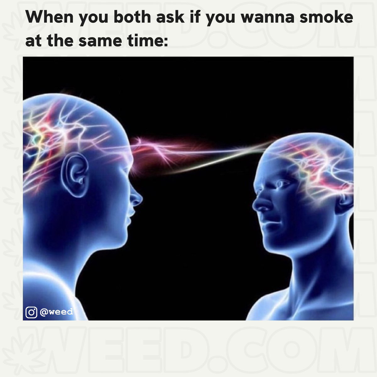 Cannatelepathy 😂 

#weed #meme #CannabisCommunity #420friendly #stoner #weedmeme