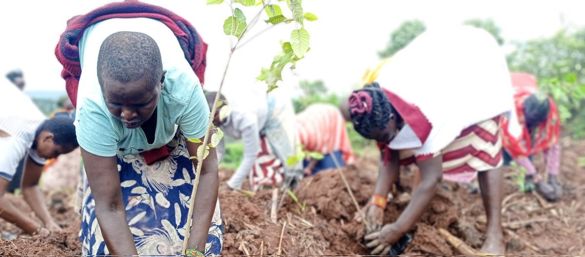 Olorukoti Resource and Knowledge Center tweet media