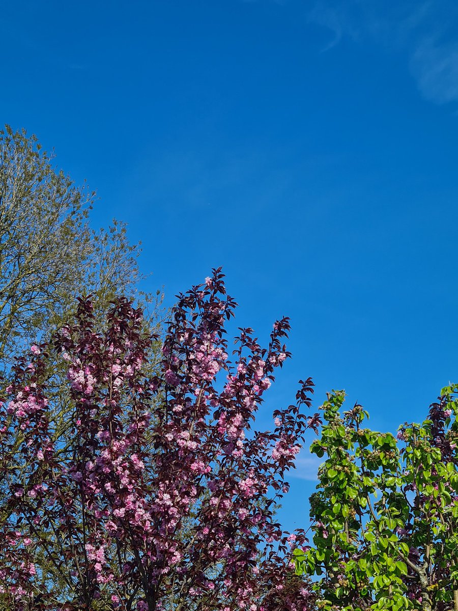 LauraBatida's tweet image. Einfach nur ein bisschen Liebe für den, der sie gerade braucht.