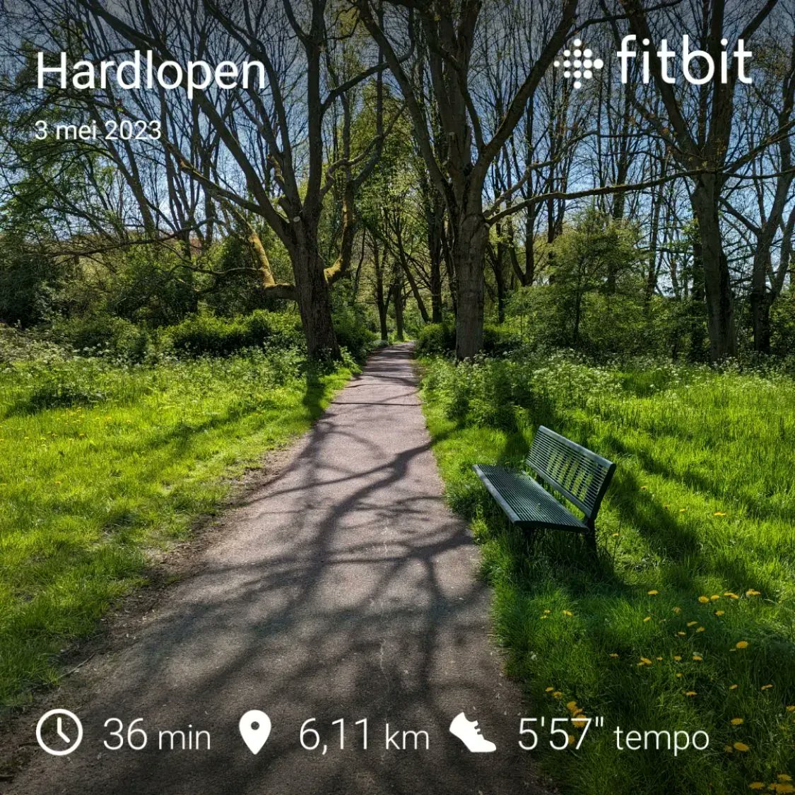 fabiobruna's tweet photo. Weer een rondje interval op weg naar de Golden Ten π In het bos want best heftige zon. #losloper #whilerunning https://t.co/YFBWopYhAc