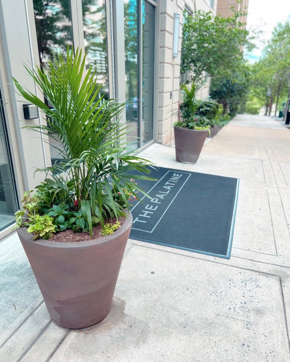 ThePalatine's tweet photo. POV: you are relaxing in the Zen Garden admiring the new planters🤩🌺🌼🌷🌸 #thepalatine #zengarden #bozzuto https://t.co/f2v6FONNqB
