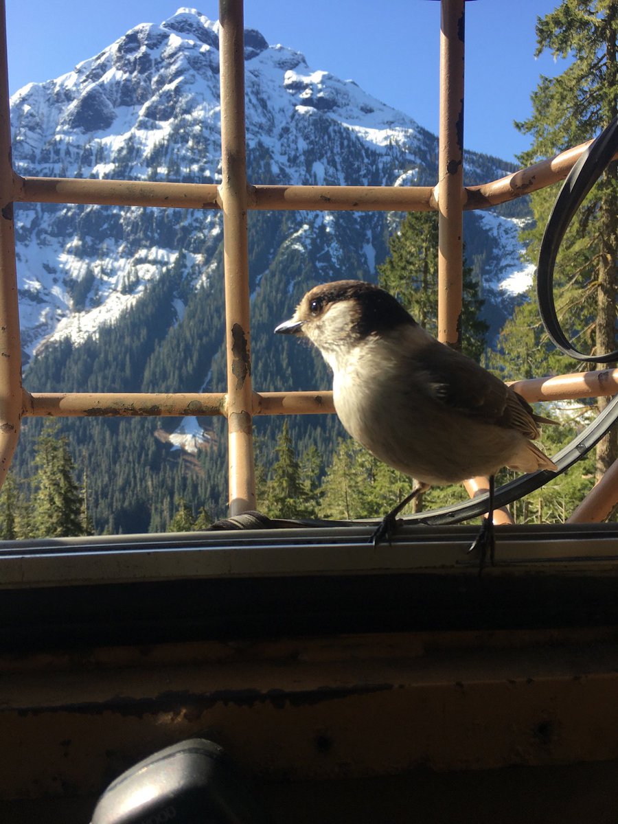 BillNelsonhd's tweet photo. View from one of the operators office. Great views on the forest industry. https://t.co/jfU7WvOeJE