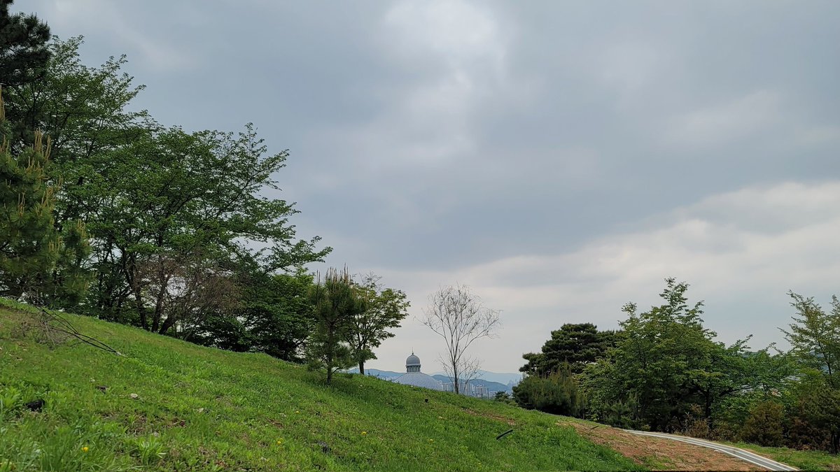 5월 4일 리버스 식목일이네요 벌써..! #식목일이벤트
그런 의미에서 나를 위해 식목일 이벤트를 한 번 더🍀

싱고밀컨, 루베르시아나, 지펠리아넘, 싱고글로고 중 택1
+ 대유 총진싹 입제 소량 소분
이렇게 1+1 구성으로(용품이 더 추가될 수는 있음)

택배비 5,000원 + 주소3종 받습니다🙏