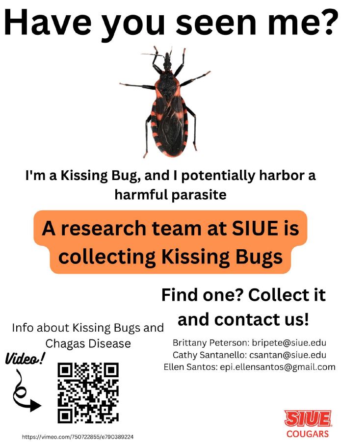 SIUEAppliedHealth (@healthsiue) on Twitter photo See our youtube video to learn more about Kissing Bugs and Chagas Disease youtu.be/r3pPLsG4MWY See our youtube video to learn more about Kissing Bugs and Chagas Disease youtu.be/r3pPLsG4MWY