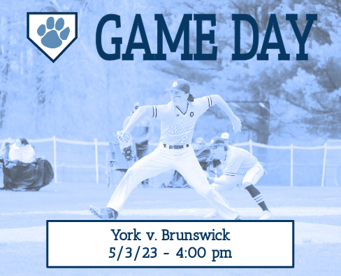 YorkWildcatBaseball tweet media