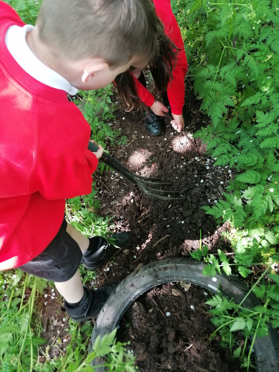 MapleCrossFore1's tweet photo. @MapleCrossJMI in Forest School this week these children are creating a tunnel. Part 1 clear the area. Stay tuned for more updates!
#forestschool #challengechasers #creativethinking https://t.co/iEUNpexc7V