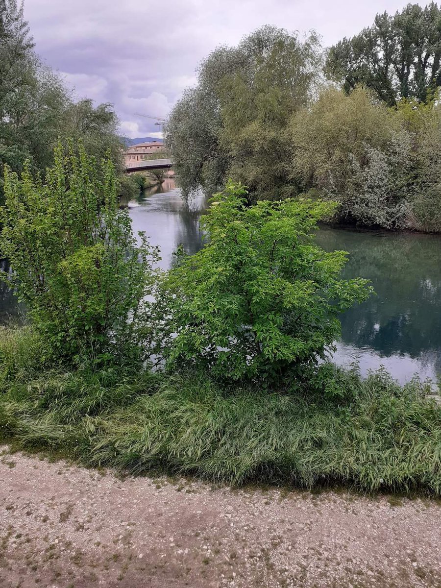 DonMilaniGuidon's tweet photo. 2 maggio: Rieti, parco avventura e rafting per le classi 1B e 2D della secondaria di primo grado
#ingita #esperienzedicondivisione https://t.co/KNzPiMjH3D