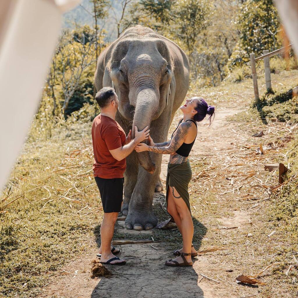 Cynthia Viola tweet media