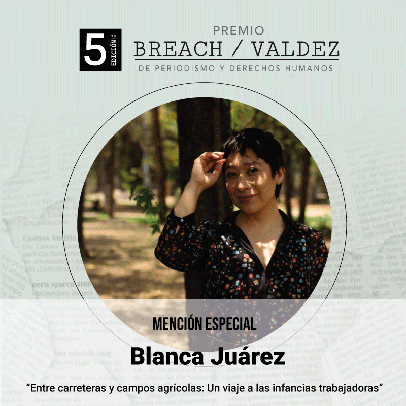 UNODC México (@unodcmexico) on Twitter photo El Premio #BreachValdez felicita a Blanca Juárez por la mención especial en la categoría Derechos de la Niñez y Adolescencia por “Entre carreteras y campos agrícolas: un viaje a las infancias trabajadoras”: bit.ly/3oWiGFX publicado por <a href="/eleconomista/">El Economista</a>. El Premio #BreachValdez felicita a Blanca Juárez por la mención especial en la categoría Derechos de la Niñez y Adolescencia por “Entre carreteras y campos agrícolas: un viaje a las infancias trabajadoras”: bit.ly/3oWiGFX publicado por <a href="/eleconomista/">El Economista</a>.