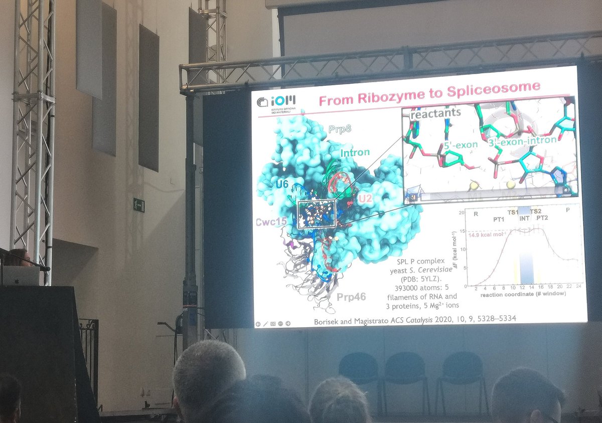 AngelaParise3's tweet photo. Comprehensive presentation on biomolecular mechanisms of pre mRNA splicing and Metal Ions Transport at #SBDD23 by @Magistrato_Lab 🧬💻
#simulations #computationalBio
@RozzaRiccardo @PJanosJr @SantiagoMovilla https://t.co/kVNIRzTLuc