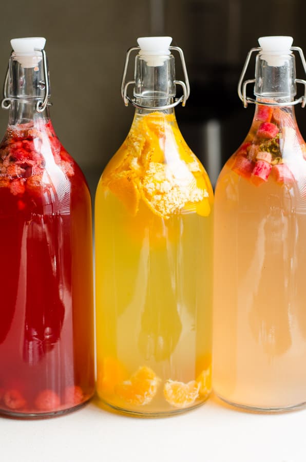 The Fermentarium tweet media