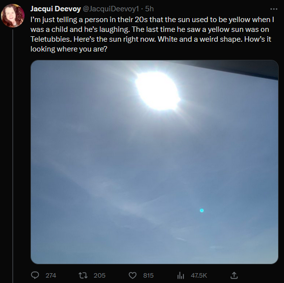 halomancer1's tweet photo. are sun truthers a thing now? is that a new type of conspiracy person? they replaced the sun and we need to stare at the fake one to heal our eyes i guess. https://t.co/3h7GSH7MTU